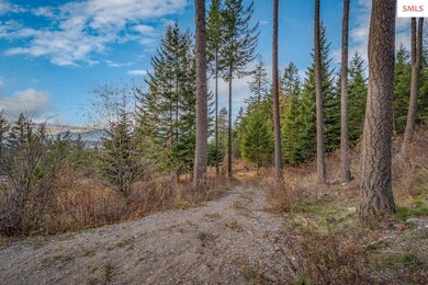 NNA E25 Wildridge Way, Sandpoint, ID 83864 - photo 5