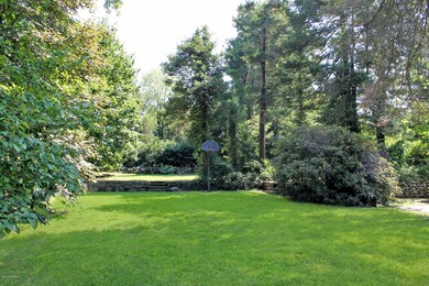 Large Backyard