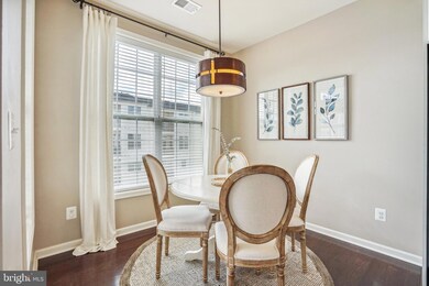 23500 Belvoir Woods Terrace, Ashburn, VA 20148 - photo 4