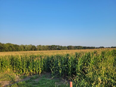 0 State Highway Dd (85 69+ - Acres unit Tract E, Bellflower, MO 63333 - photo 5