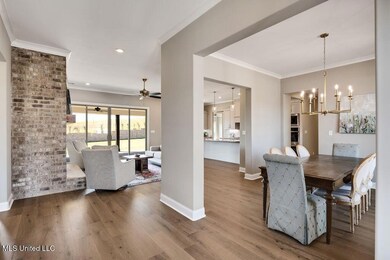 2115 Livingston Way, Hernando, MS 38632 - photo 4