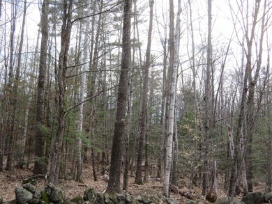 00 Ossipee Mountain Rd, Moultonborough, NH 03254 - photo 4