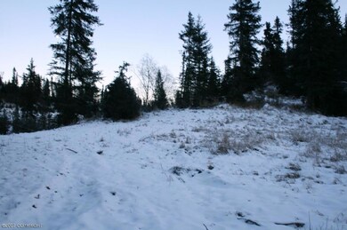 L39A Sterling Hwy, Anchor Point, AK 99556 - photo 2