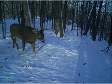 0 County Road J unit 6642969, Nelson, WI 54756 - photo 4