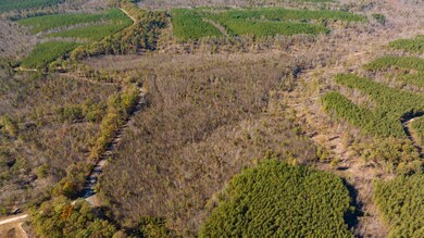 0 Old Highway 18 unit RTC2649682, Stewart, TN 37175 - photo 4