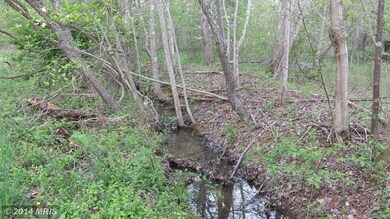 20 Oden Ln, Washington, VA 22747 - photo 2