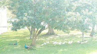 10370 SW 220th St unit 227, Cutler Bay, FL 33190 - photo 4