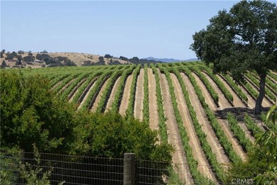 4141 Creston Rd, Paso Robles, CA 93446 - photo 5