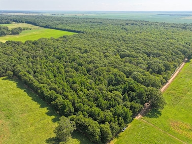 Tbd, Fouke, AR 71837 - photo 5