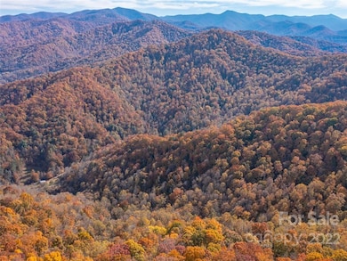 000 Drake Cove Rd, Mars Hill, NC 28754 - photo 7