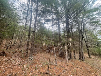 1911 Haselton Rd, Wilmington, NY 12997 - photo 6