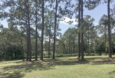 Ridge Lake Lot