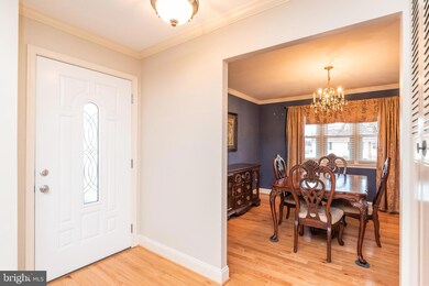 8510 David Ave, Parkville, MD 21234 - photo 4