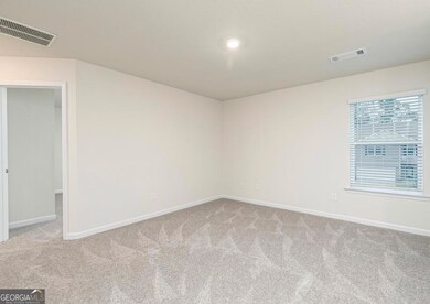 289 Egret Ct, Hoschton, GA 30548 - photo 4