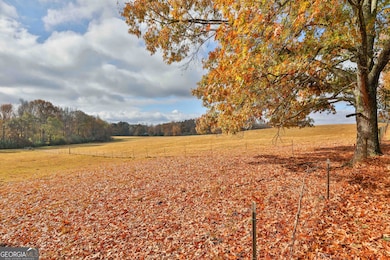 LOT 7 Mask Road - Hanner's Farm S, Brooks, GA 30205 - photo 6