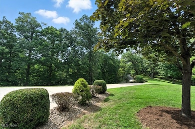 1371 N Dry Run Rd, Williamstown, WV 26187 - photo 3