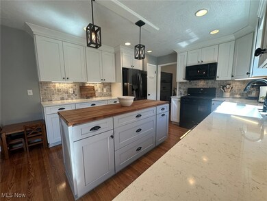 264 Windfall Ln, Wadsworth, OH 44281 - photo 5