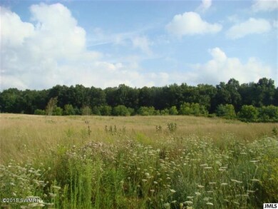 JACKSONMLS20026924C