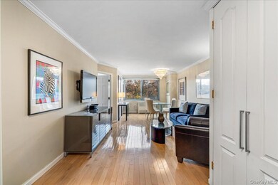 Lakeside Towers unit 5P, Bayside, NY 11361 - photo 7