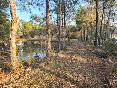 View of local wilderness featuring a water view