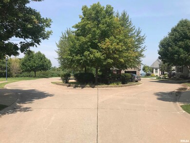 631 7th Street Ct, Moline, IL 61265 - photo 4