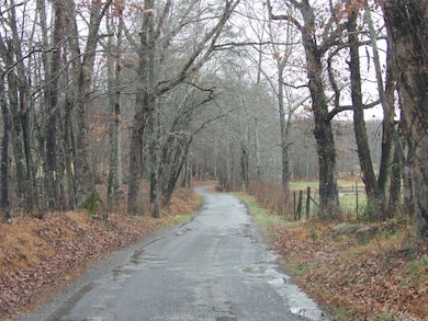 340 Rd, Evensville, TN 37332 - photo 3