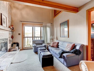 9490 Ryan Gulch Rd unit 94202, Silverthorne, CO 80498 - photo 3