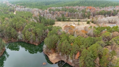 Pond that the property touches.