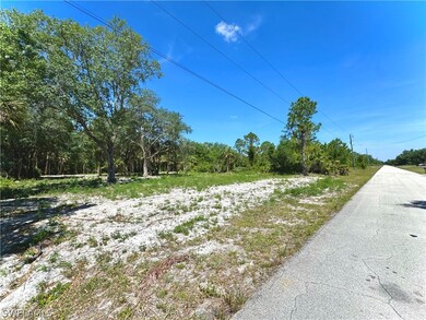 1609 Truman Ave, Lehigh Acres, FL 33972 - photo 2