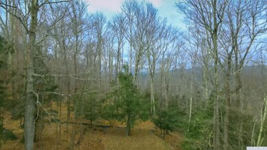 0 Club Rd unit 150906, Windham, NY 12496 - photo 5