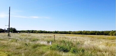 TBD Fm 3364, Princeton, TX 75407 - photo 5