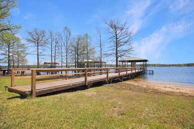 Toledo bend water front