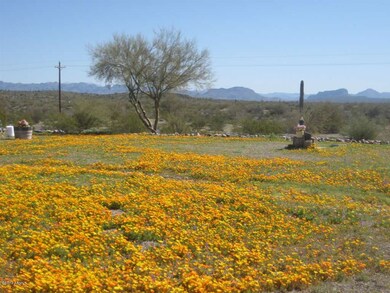 wildflowers across from condo in field!