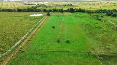 17603 Pleasant Rd, Needville, TX 77461 - photo 7