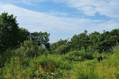 4304 Sinclair Ridge, Rowlesburg, WV 26425 - photo 7