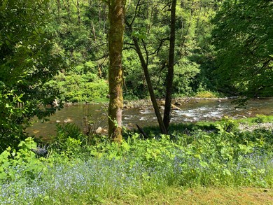 Trask River Frontage