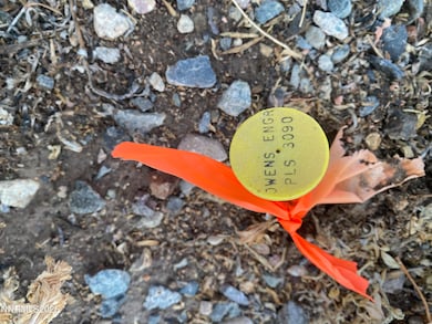 78 Old Ranch Rd, Smith Valley, NV 89430 - photo 6