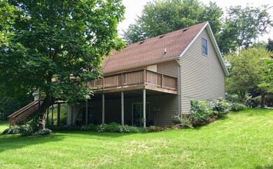 Back View