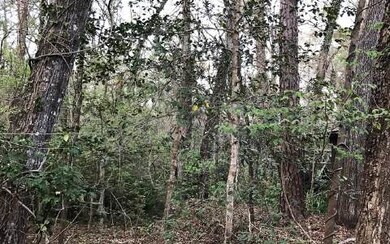 0 Rose Ln unit 97046, Fort White, FL 32038 - photo 4