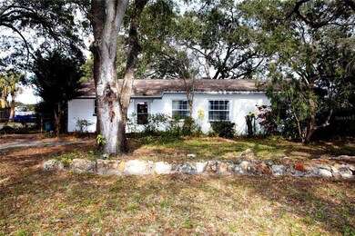 4109 W Bay Vista Ave, Tampa, FL 33611 - photo 2