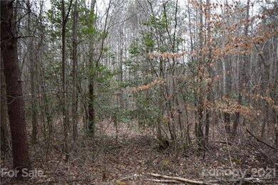 00 Robinson Yelton Rd, Clover, SC 29710 - photo 5