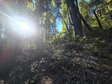 1439 Trinity Trail, Zenia, CA 95595 - photo 5