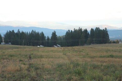 XXXX N Division Rd Tract 7, Colbert, WA 99005 - photo 7