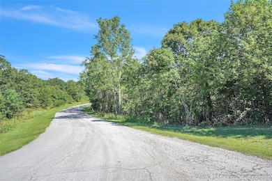 0003 Marina Dr, Skiatook, OK 74070 - photo 3