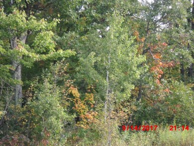 0 Perida Rd, Webster, WI 54893 - photo 3