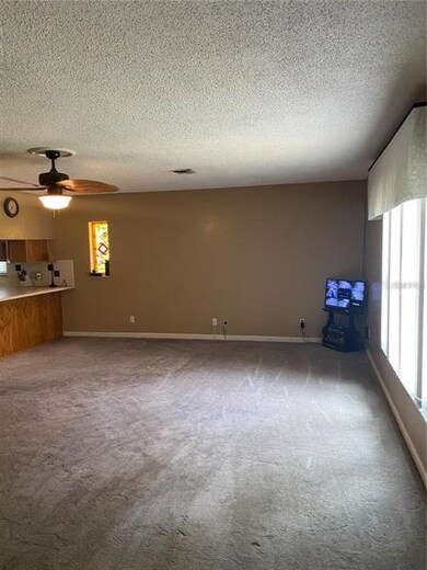 35637 Wiley Rd, Zephyrhills, FL 33541 - photo 3