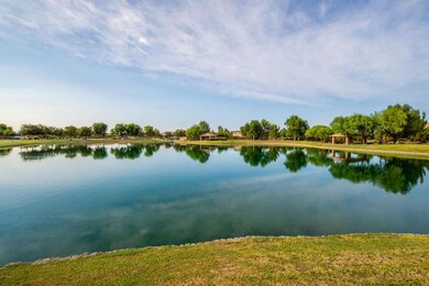 Pond