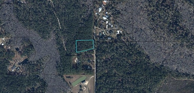 653 Bryant Landing Rd, Wewahitchka, FL 32465 - photo 2