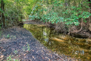 View of nature
