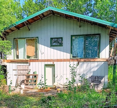 TBD No Name Rd, Trapper Creek, AK 99683 - photo 2